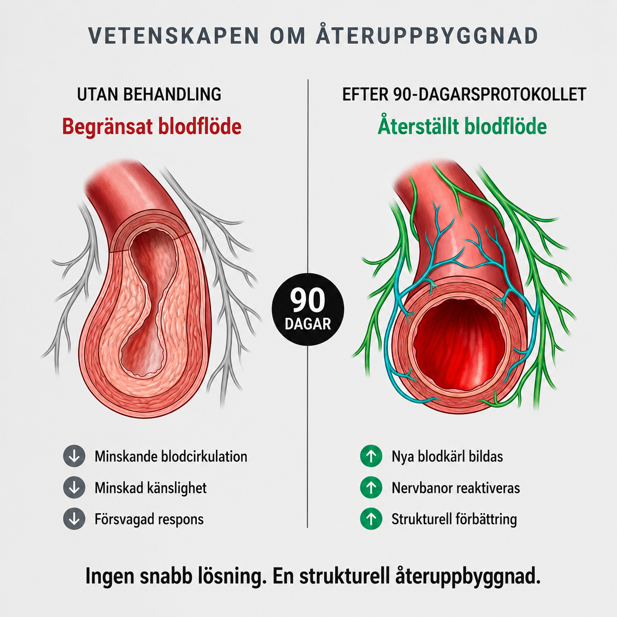 Pedagogisk illustration av träningen